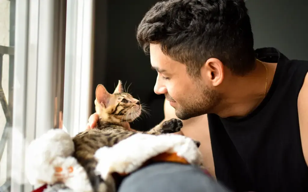 Hvordan få en katt til å like deg