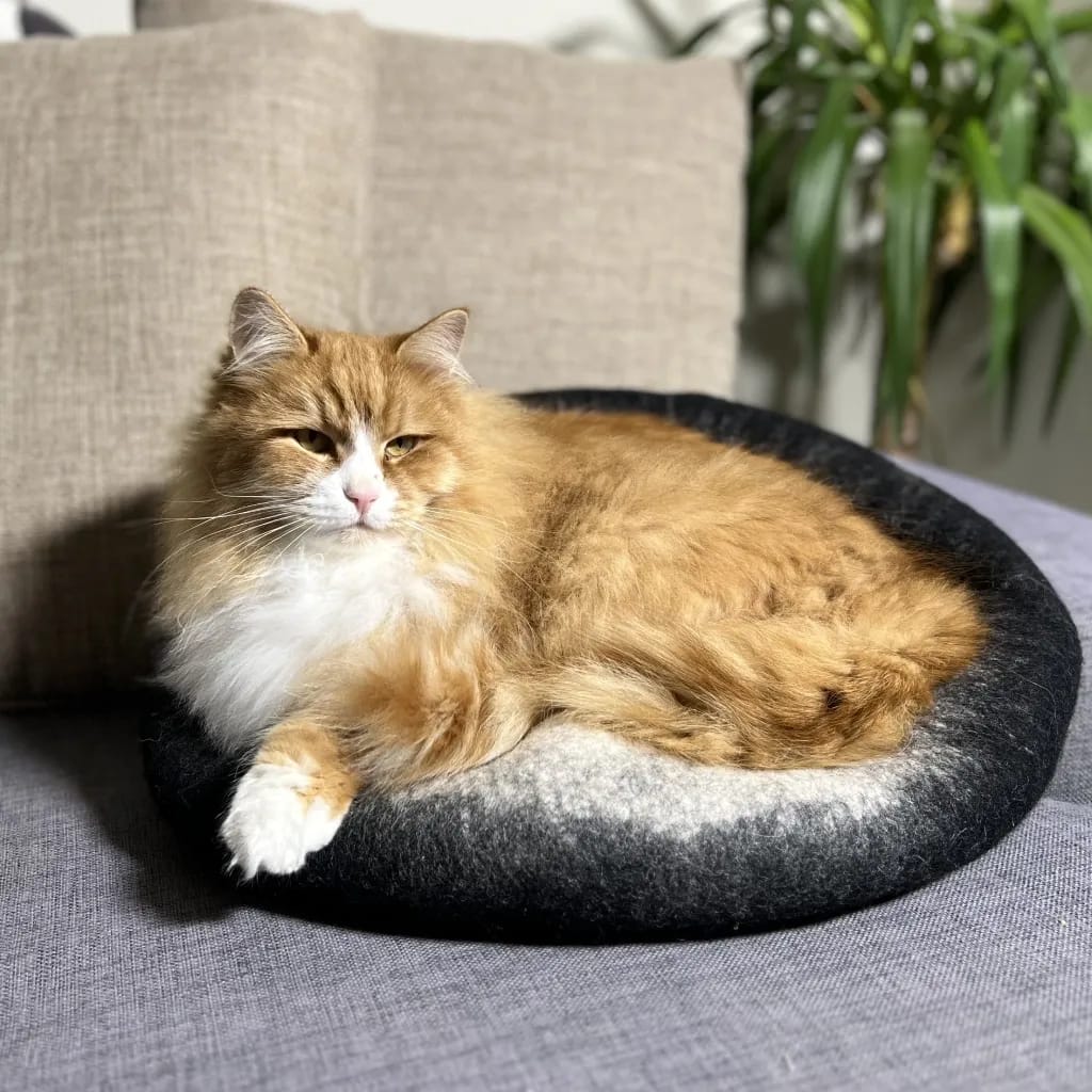 Sort og hvit kattehule katteseng simba