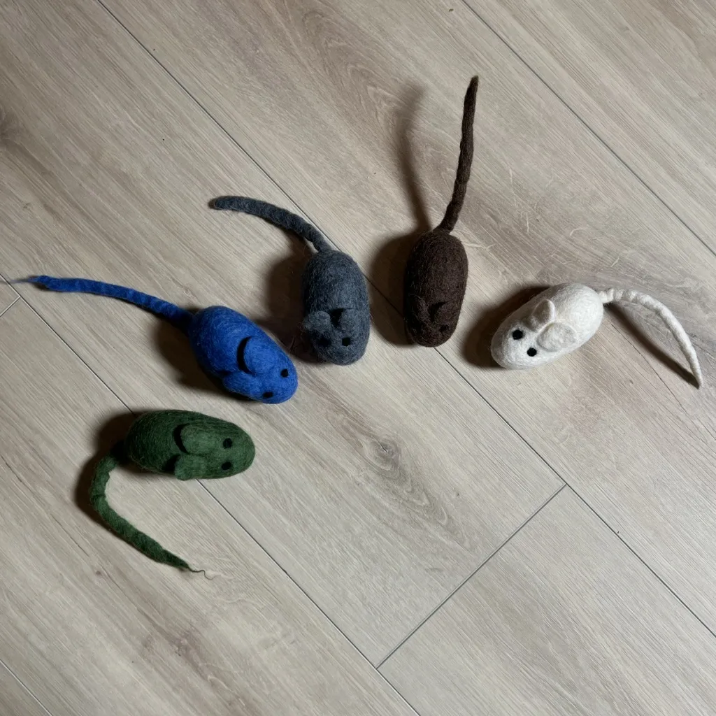 katteleke mus i alle farger