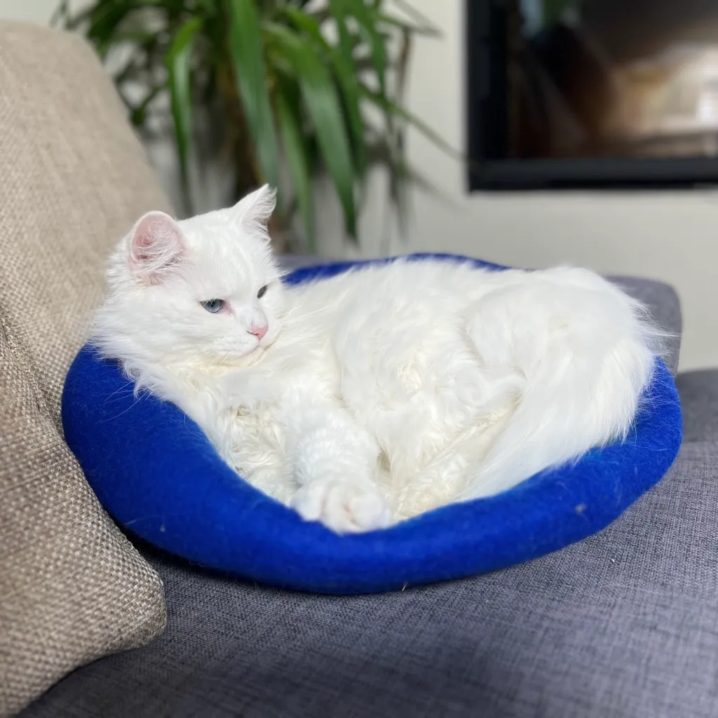 nala blå og turkis kattehule