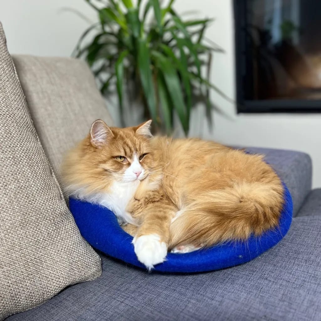 simba blå og turkis kattehule
